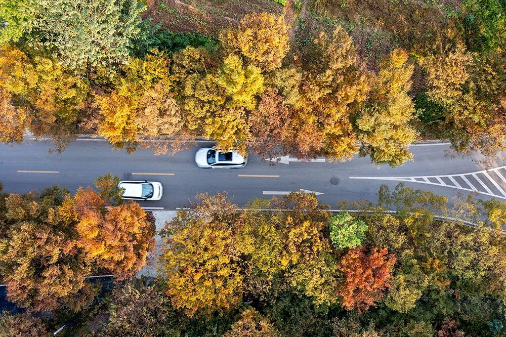 景美！出片！长寿爱拍照的，都往这跑！
